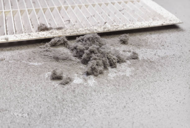 Best Professional Duct Cleaning Services  in Rollingwood, TX