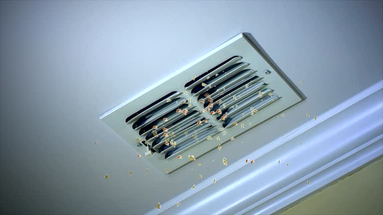 Best Commercial HVAC Duct Cleaning  in Rollingwood, TX