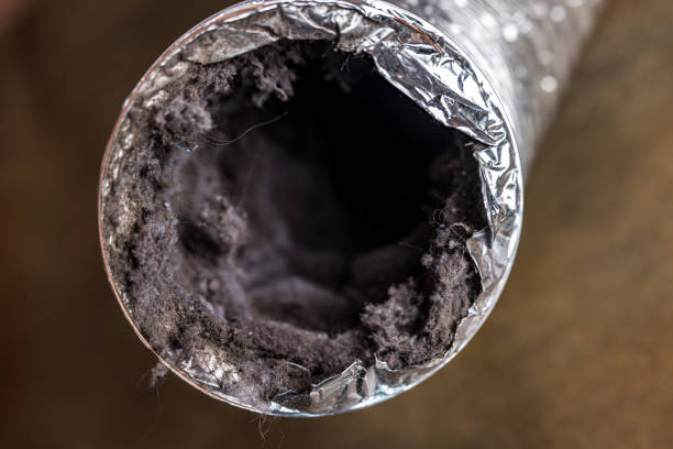 Best HVAC System Cleaning  in Rollingwood, TX